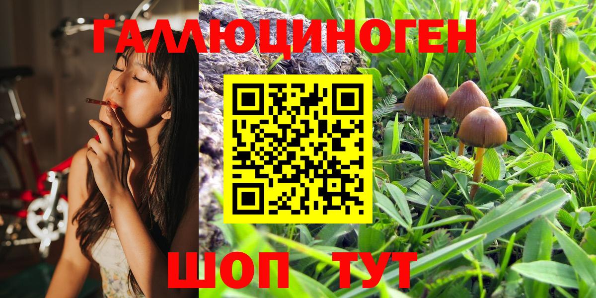 Псилоцибиновые грибы Psilocybe  Вход с VPN  Лысьва 