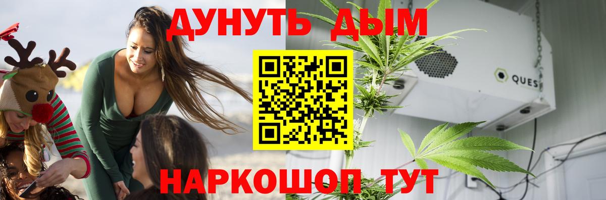 Бошки Шишки SATIVA & INDICA  Бошки марихуана OG Kush  Вход с VPN  Лысьва  Конопля тримм  Каннабис VHQ 